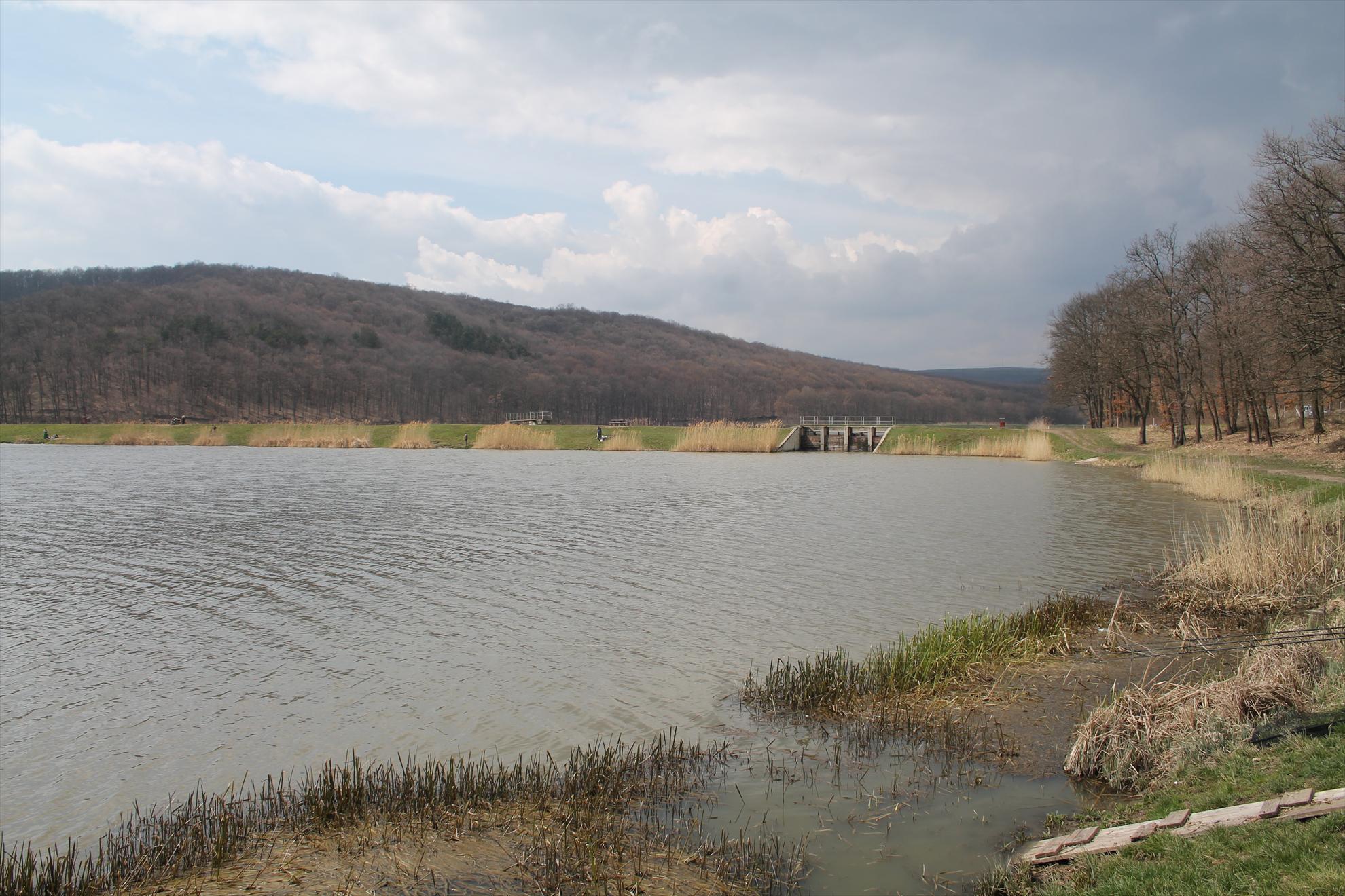 Harsany aprilie2013 - harsany-aprilie2013-237.JPG